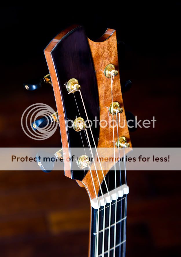 Show us your interesting headstock shapes! The Acoustic Guitar Forum